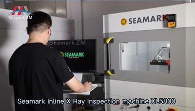 Competitive Inline X Ray Inspection Equipment Automatic Component Connectors X Ray Inspection System