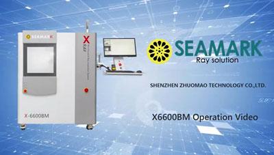 X6600bm X Ray Inspection Operation Video